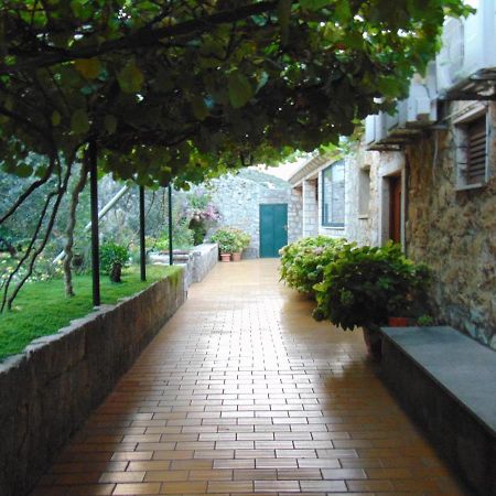 Villa Jelka Apartment Zaton  Dış mekan fotoğraf