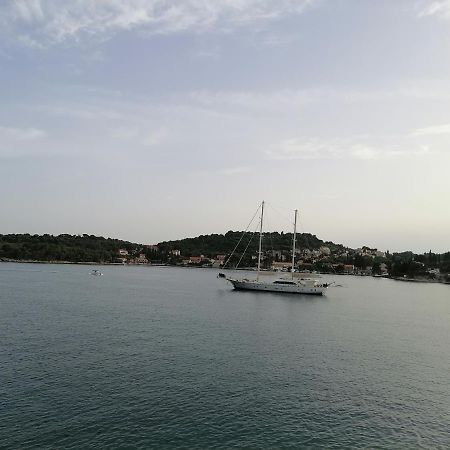 Villa Jelka Apartment Zaton  Dış mekan fotoğraf