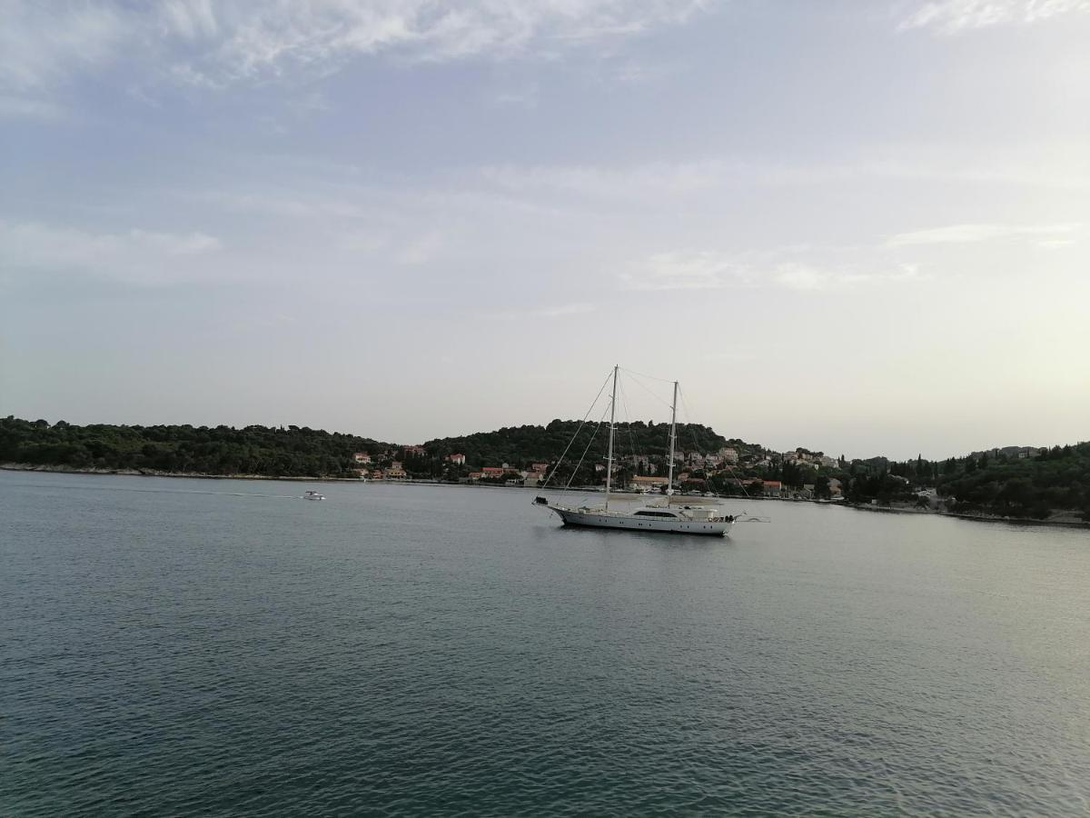 Villa Jelka Apartment Zaton  Dış mekan fotoğraf
